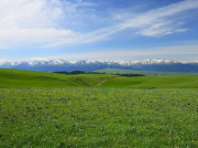 南方清水泵到底有沒(méi)有吸程?