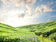 南方水泵的動力大小直接關系著用水結果